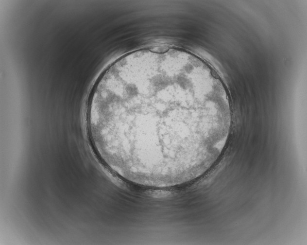 X0000111601235200908271002