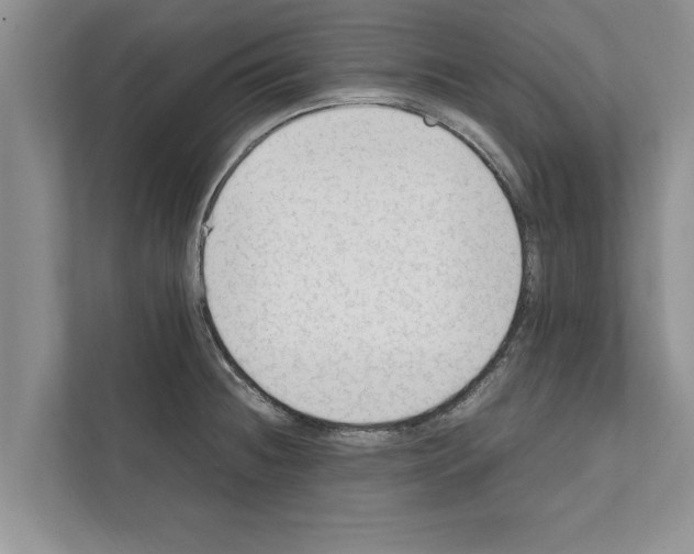X0000111601236200908271002