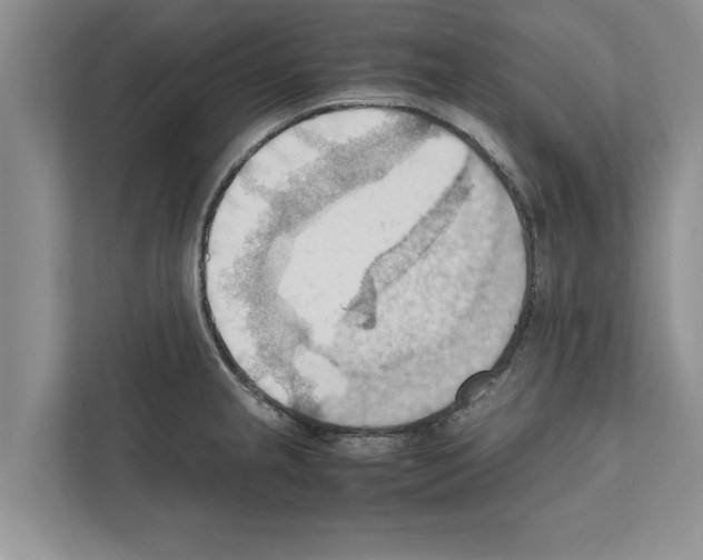 X0000111601237200908271002