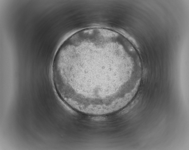 X0000111601239200908271002