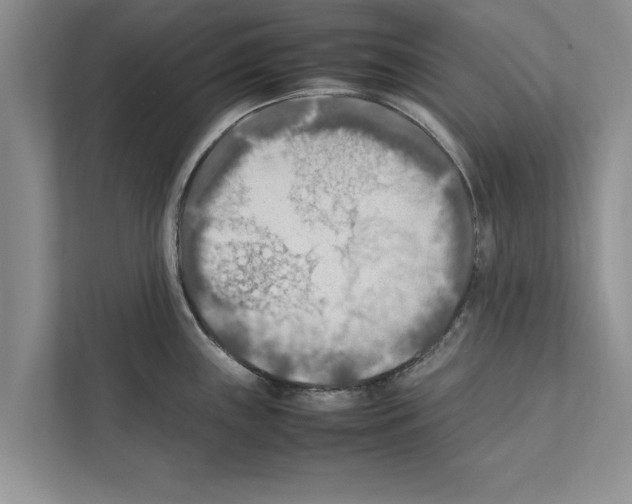 X0000111601243200908271002