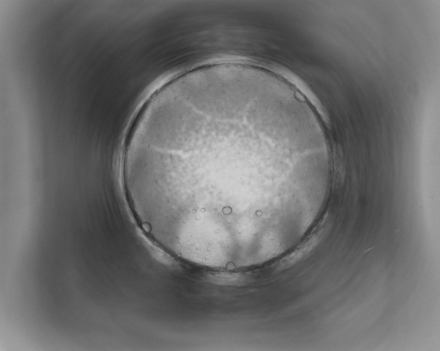 X0000111601245200908271002