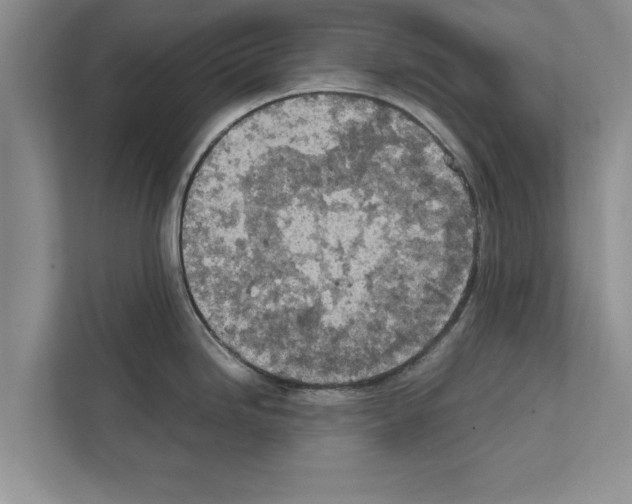 X0000111601246200908271002