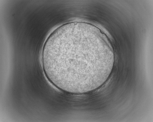 X0000111601247200908271002