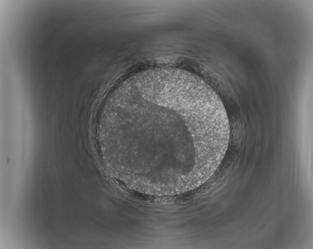 X0000111601249200908271002