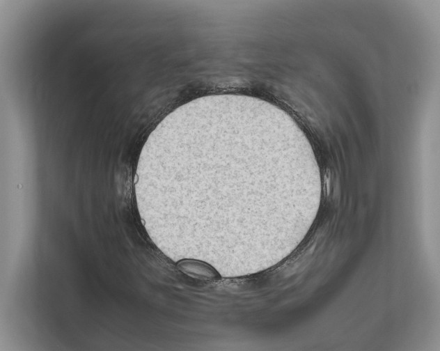 X0000111601251200908271002