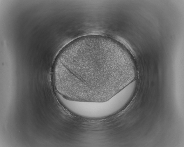 X0000111601260200908271002