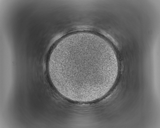 X0000111601261200908271001