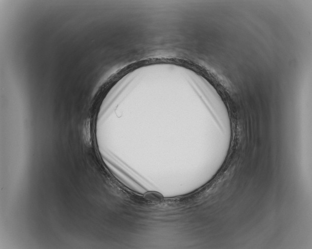 X0000111601262200908271001
