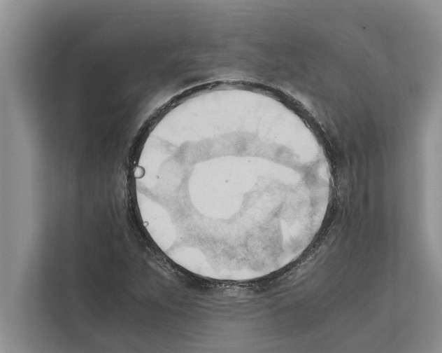 X0000111601263200908271001
