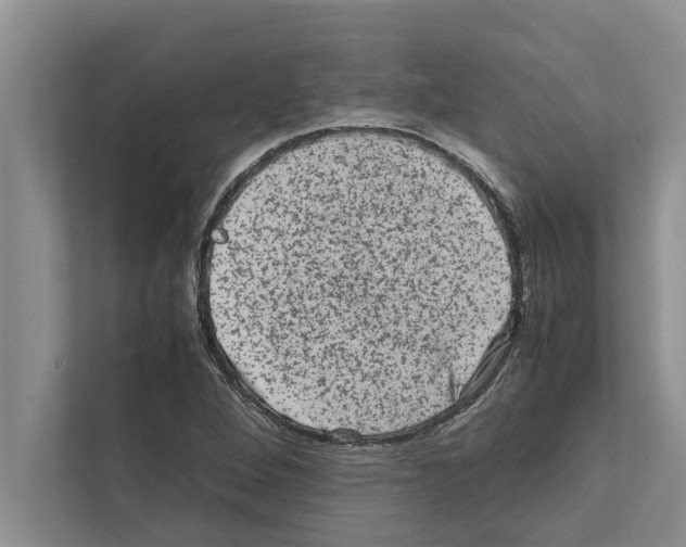 X0000111601264200908271001