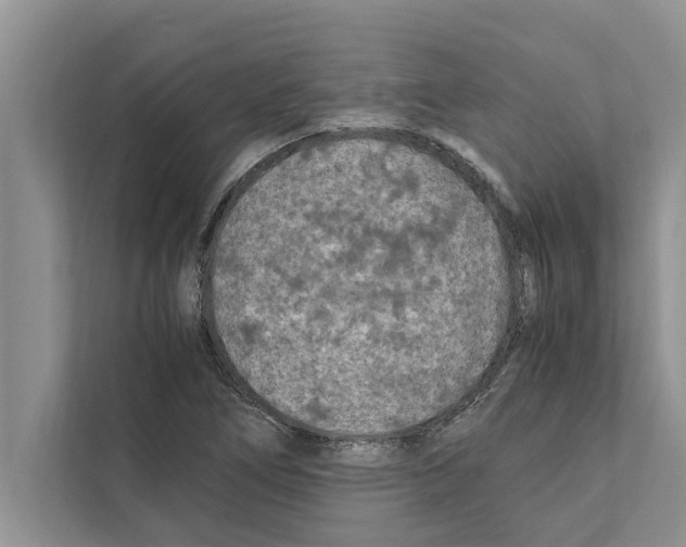 X0000111601266200908271001