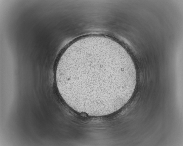 X0000111601267200908271001