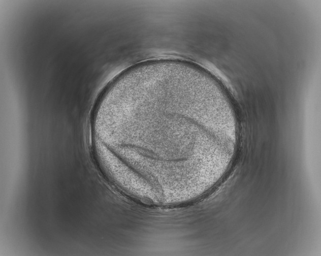 X0000111601269200908271001