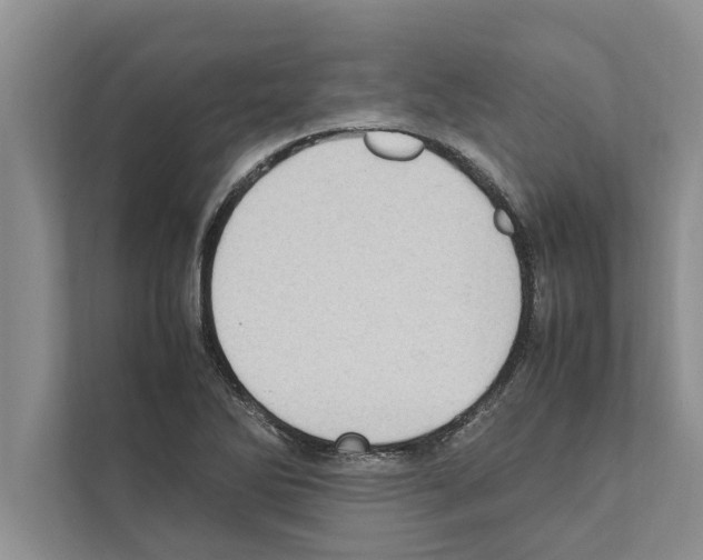 X0000111601270200908271001