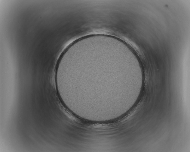 X0000111601272200908271001