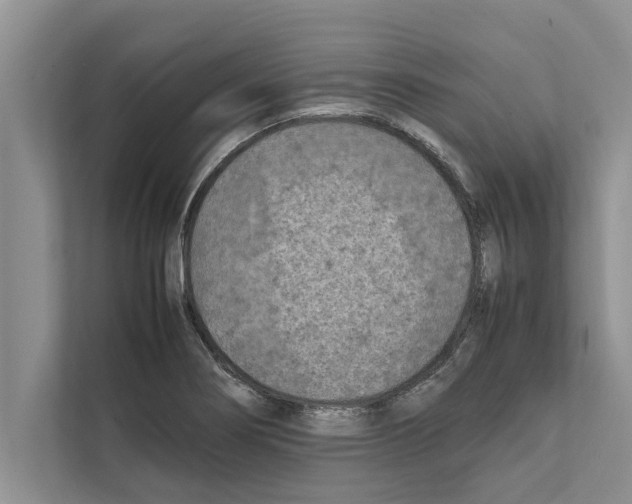 X0000111601274200908271001