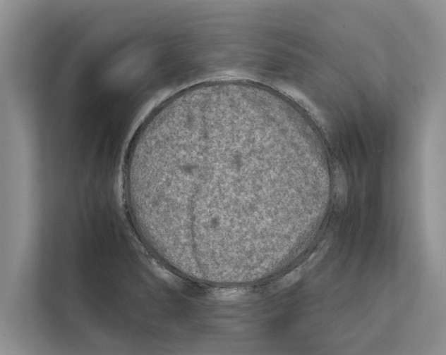 X0000111601278200908271001