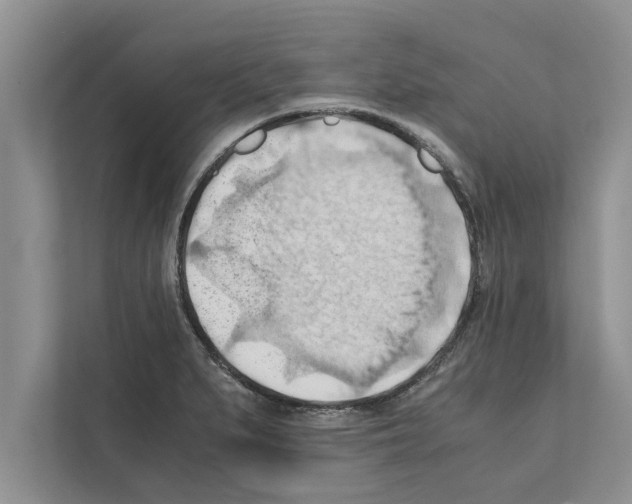 X0000111601279200908271001