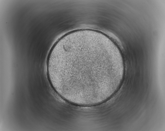 X0000111601280200908271001