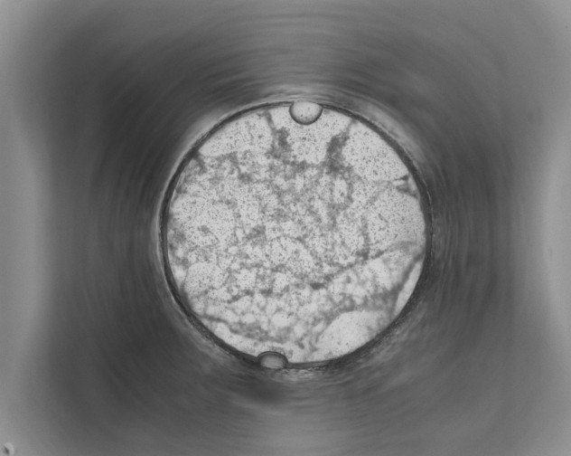 X0000111601283200908271001