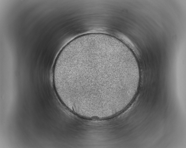X0000111601284200908271001