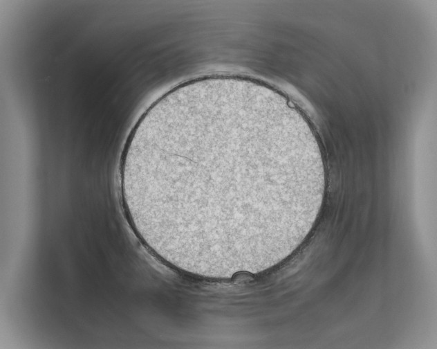X0000111601287200908271001