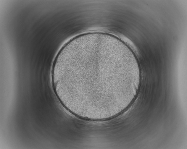 X0000111601288200908271001
