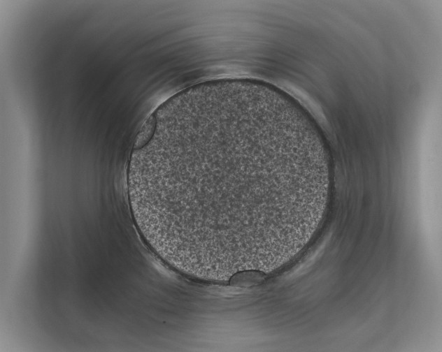 X0000111601289200908271001