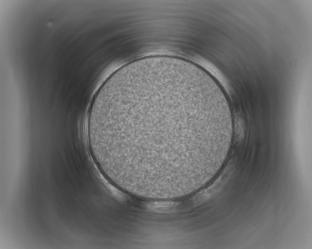 X0000111601290200908271001