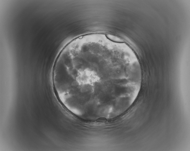 X0000111601291200908271001
