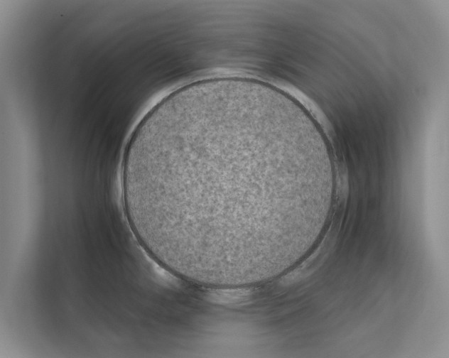 X0000111601294200908271001