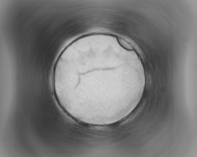 X0000111601295200908271001
