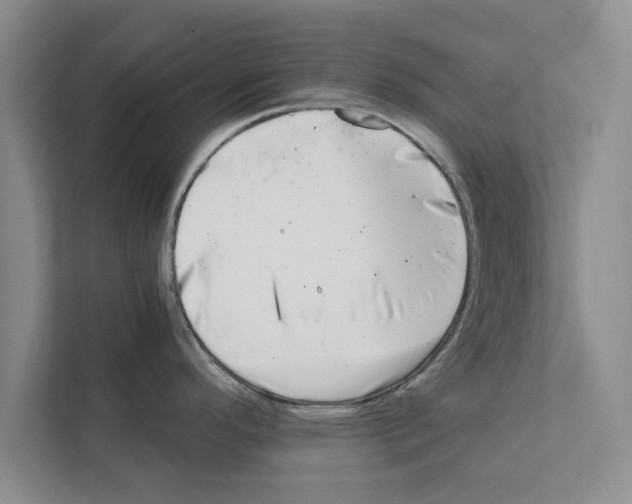 X0000111601296200908271001