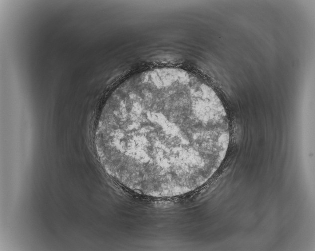 X0000111601297200908271000