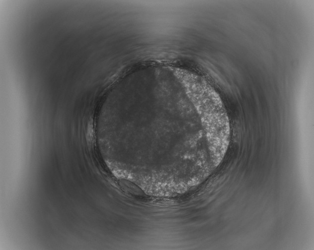 X0000111601298200908271000