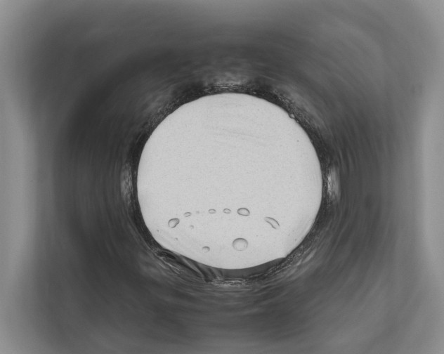 X0000111601299200908271000