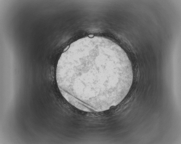 X0000111601301200908271000