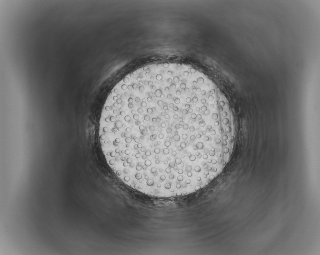 X0000111601302200908271000