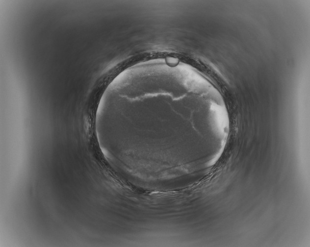 X0000111601303200908271000