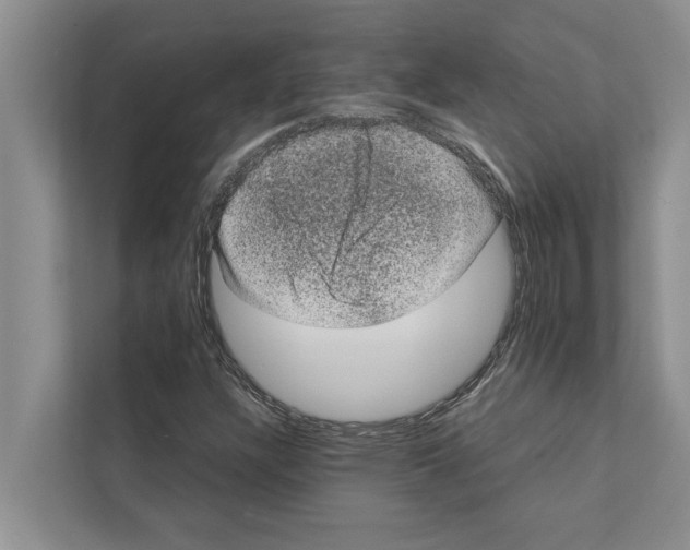 X0000111601304200908271001