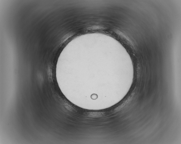 X0000111601305200908271001