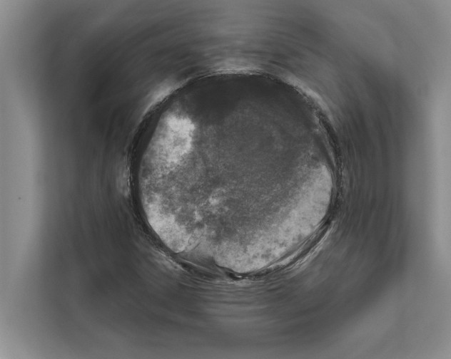 X0000111601306200908271001