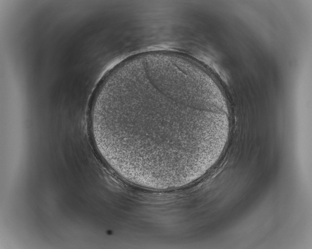 X0000111601308200908271001