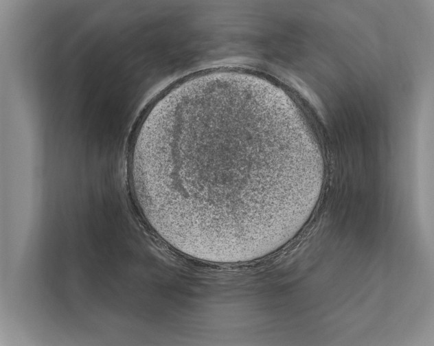 X0000111601316200908271001