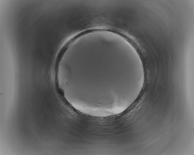 X0000111601319200908271001