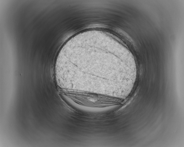 X0000111601321200908271001