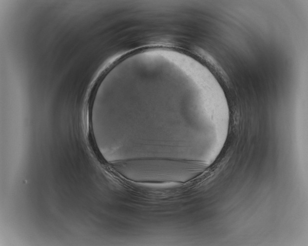 X0000111601323200908271001
