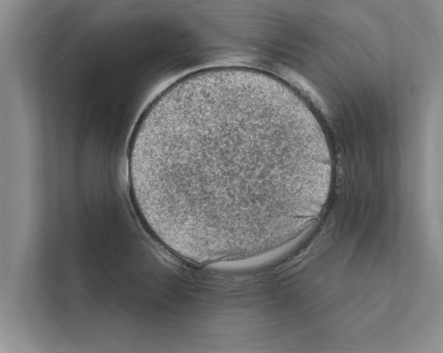 X0000111601324200908271001