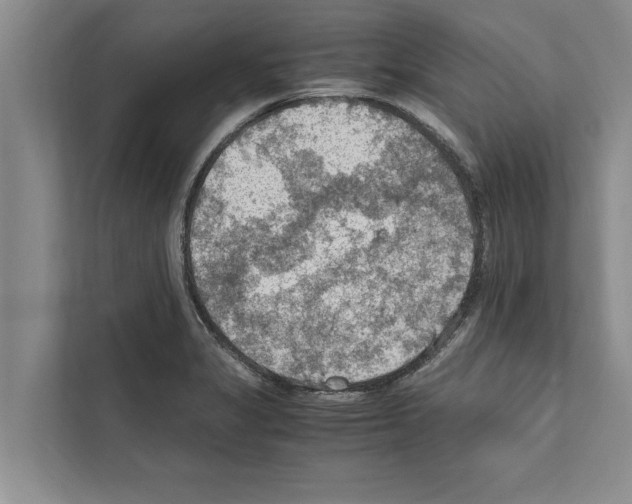X0000111601325200908271001